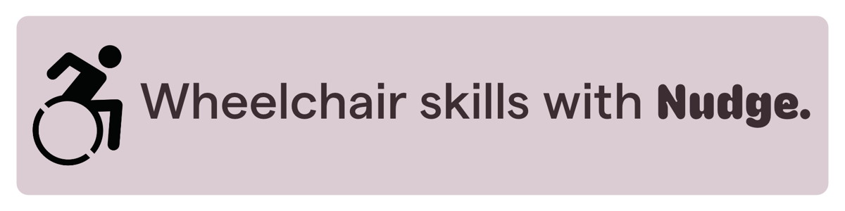 wheelchair skills logo for website-1