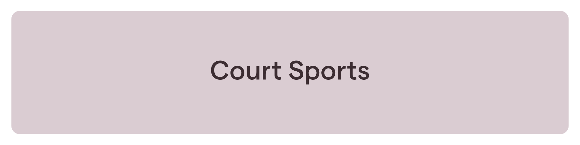 Court Sports Banner